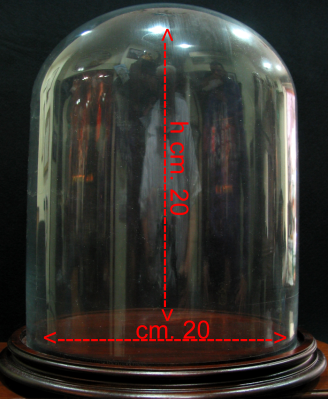 GLOCKE AUS GLAS cm.20 X 20